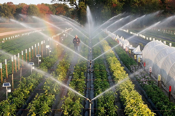 Équipement d'irrigation